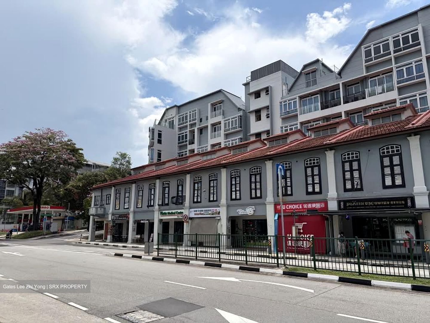Icon @ Pasir Panjang (D5), Shop House #552028291
